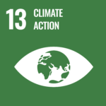 UN Sustainable Development Goals - 13 badge icon
